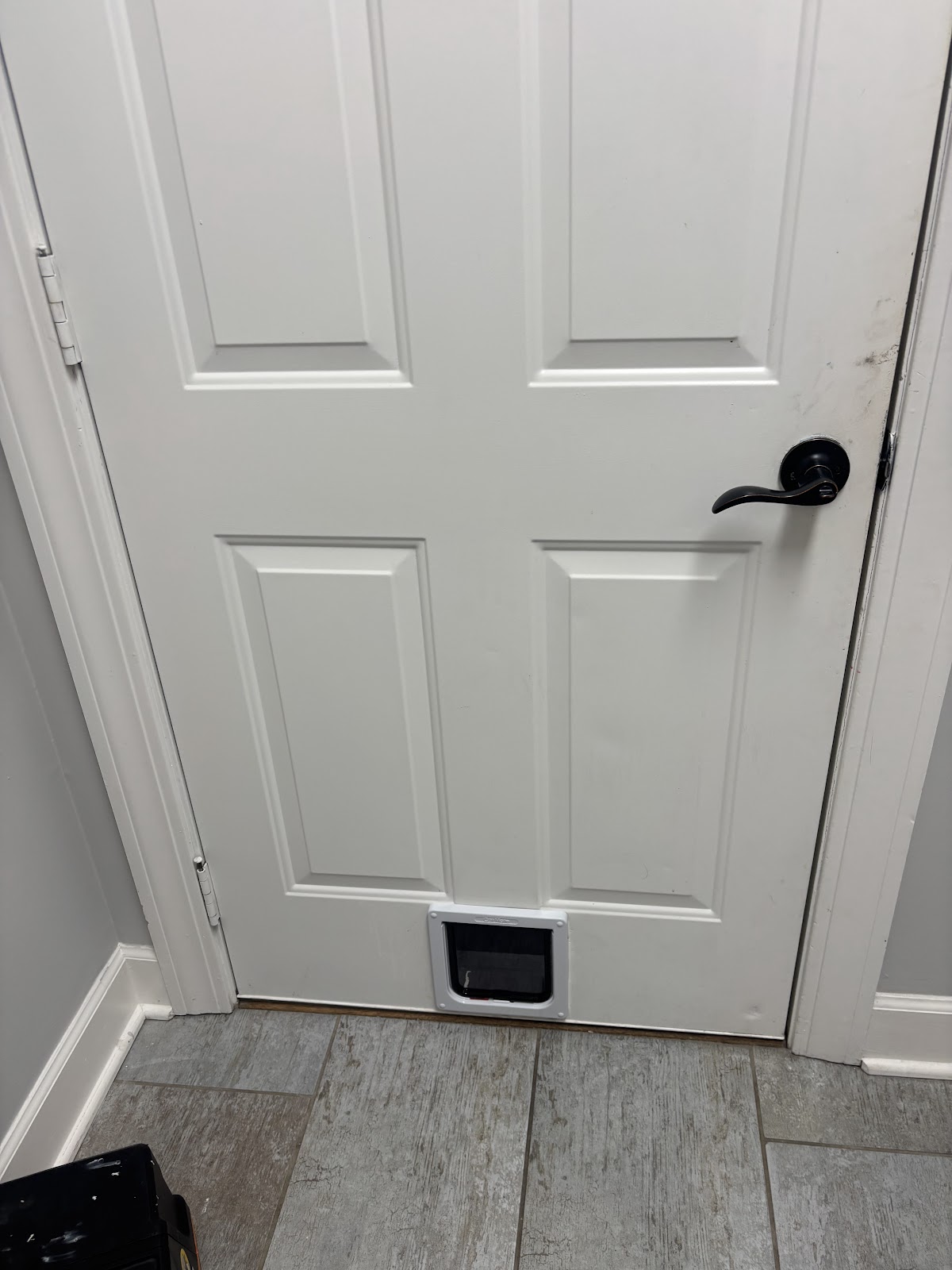 New interior door with built in pet door